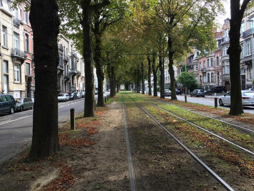 Albert Moliere Saint-Gilles Экстерьер фото