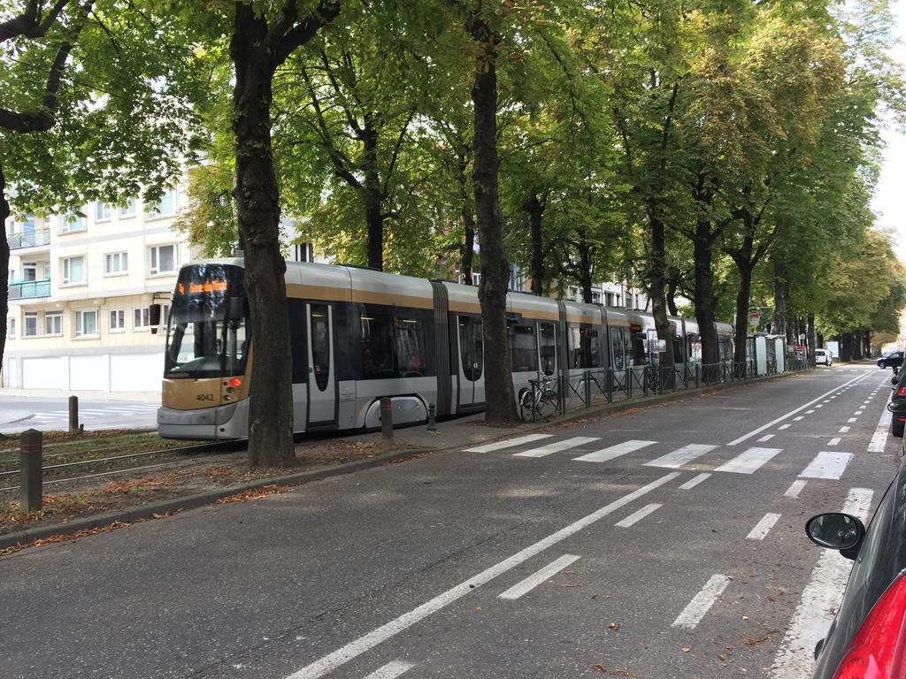 Albert Moliere Saint-Gilles Экстерьер фото